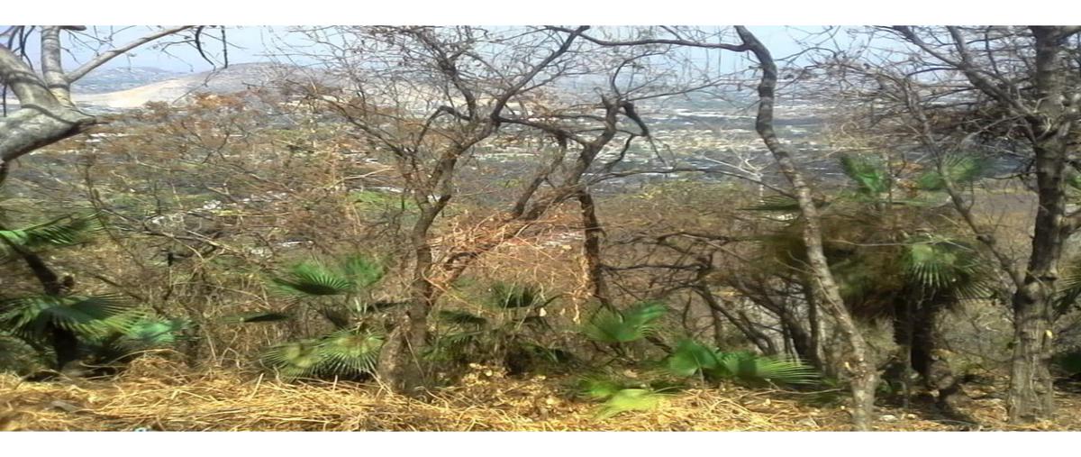 Foto de terreno habitacional en venta en  , villas de san gaspar, jiutepec, morelos, 25639298 No. 05