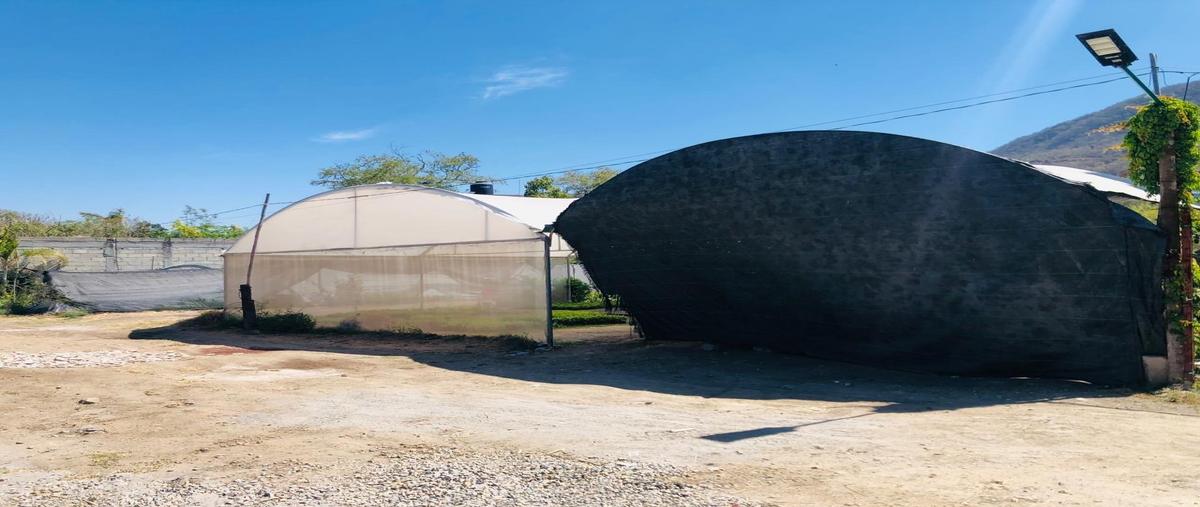 Foto de terreno habitacional en venta en  , villas de san gaspar, jiutepec, morelos, 27834568 No. 03