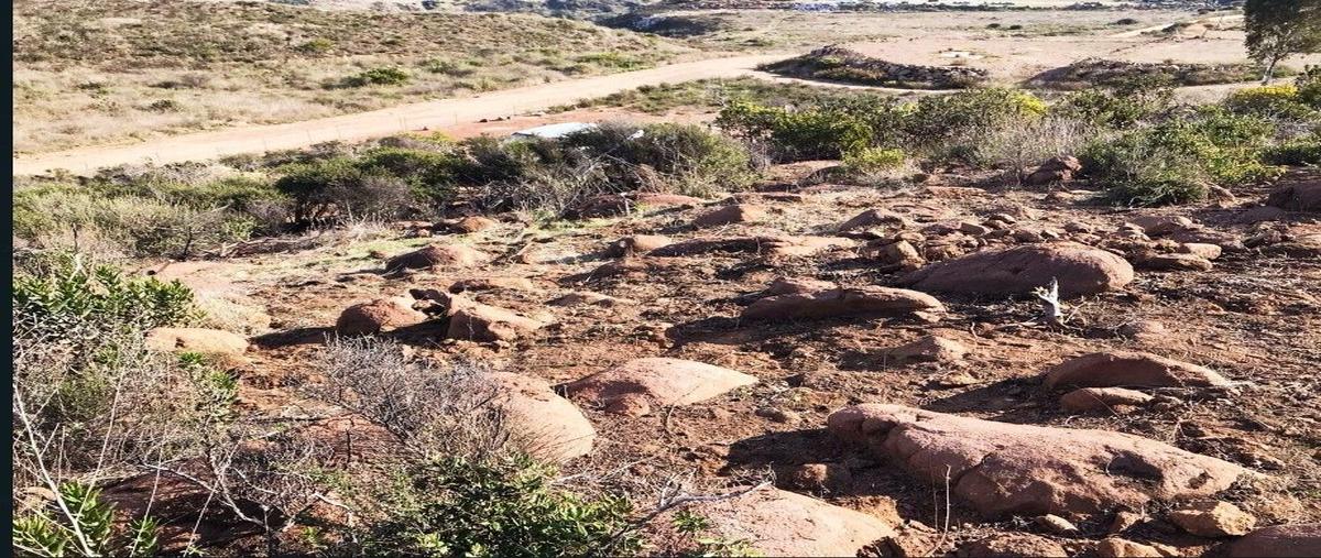 Foto de terreno habitacional en villas de san miguel , cíbolas del mar, ensenada, baja california, 29397393 foto 01 Foto de terreno habitacional en venta en villas de san miguel , cíbolas del mar, ensenada, baja california, 29397393 No. 01