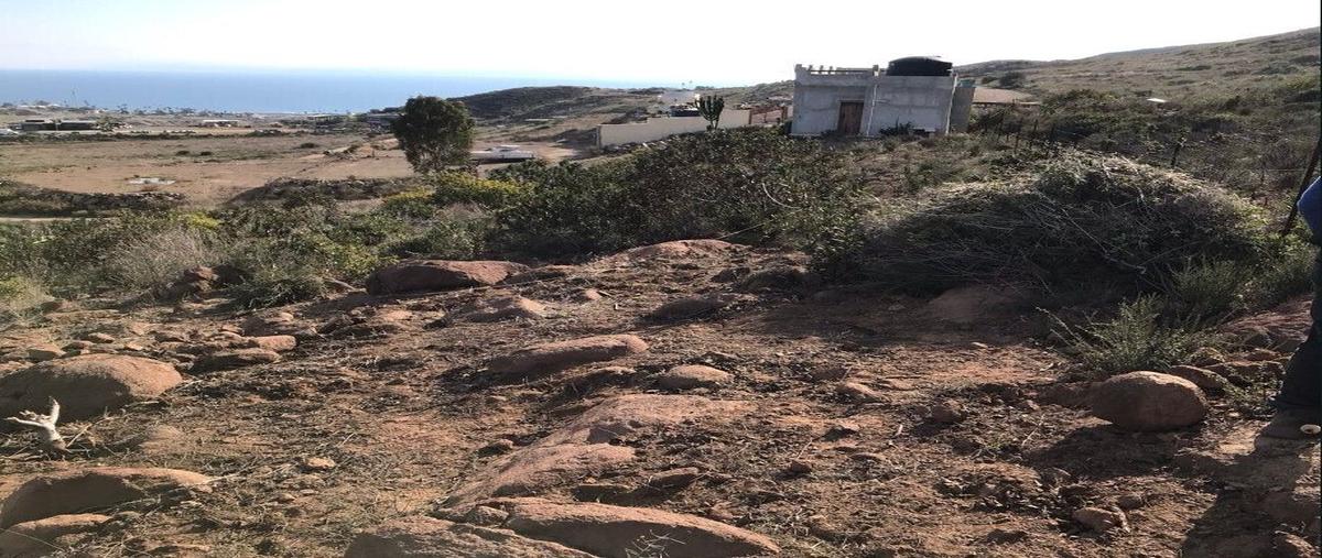 Foto de terreno habitacional en villas de san miguel , cíbolas del mar, ensenada, baja california, 29397393 foto 05 Foto de terreno habitacional en venta en villas de san miguel , cíbolas del mar, ensenada, baja california, 29397393 No. 05