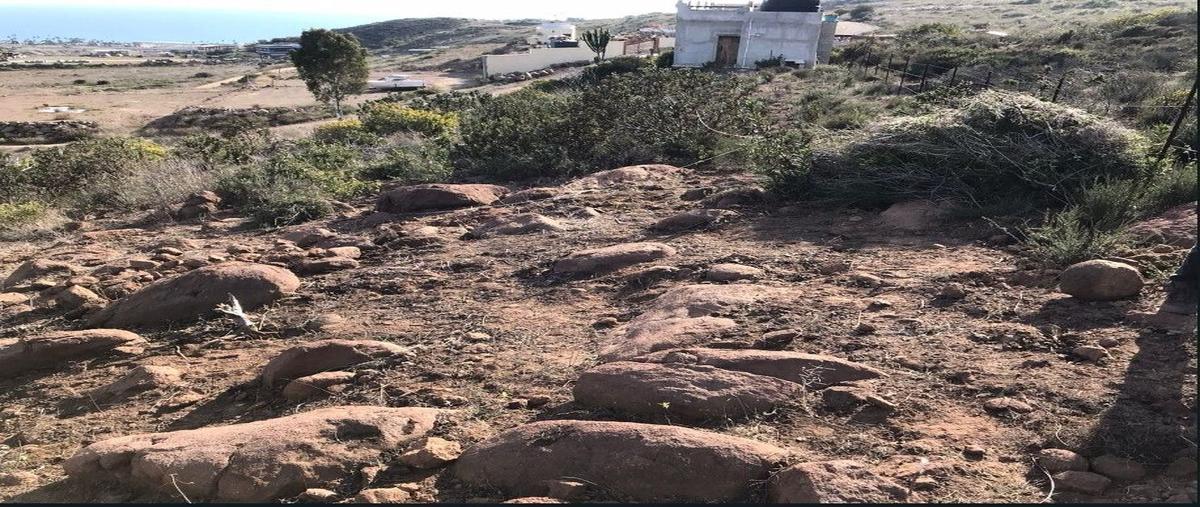 Foto de terreno habitacional en venta en villas de san miguel , cíbolas del mar, ensenada, baja california, 29397395 No. 03
