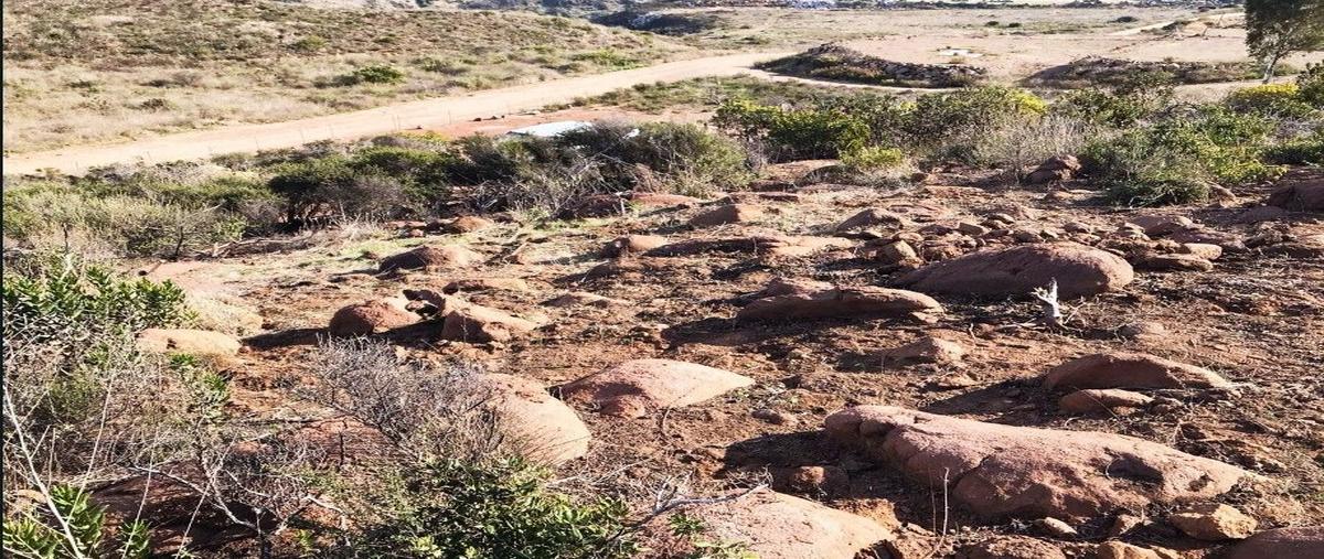 Foto de terreno habitacional en venta en villas de san miguel , cíbolas del mar, ensenada, baja california, 29397395 No. 04