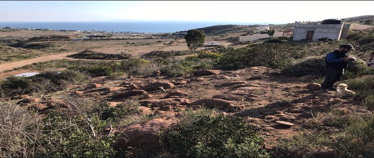 Foto de terreno habitacional en venta en villas de san miguel , cíbolas del mar, ensenada, baja california, 29397395 No. 05