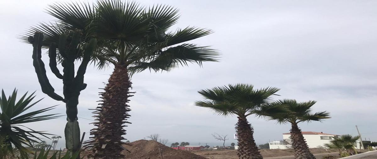 Foto de terreno habitacional en , villas de san pedro, playas de rosarito, baja california, 27419631 foto 03 Foto de terreno habitacional en venta en , villas de san pedro, playas de rosarito, baja california, 27419631 No. 03