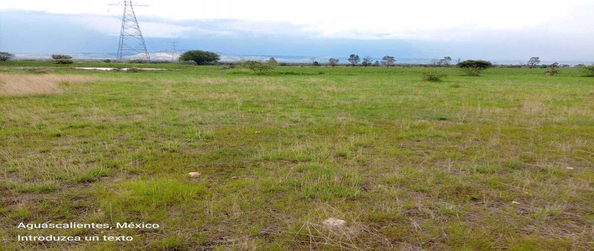 Foto de terreno habitacional en venta en  , villas de santa rosa, aguascalientes, aguascalientes, 30145942 No. 04
