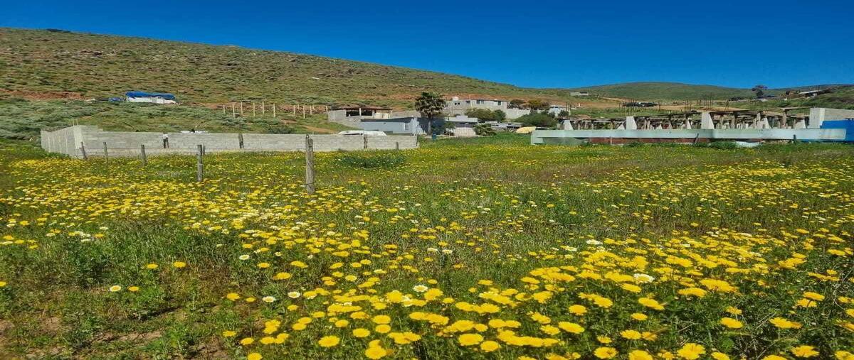 Foto de terreno habitacional en venta en  , villas del campo, ensenada, baja california, 28360727 No. 03