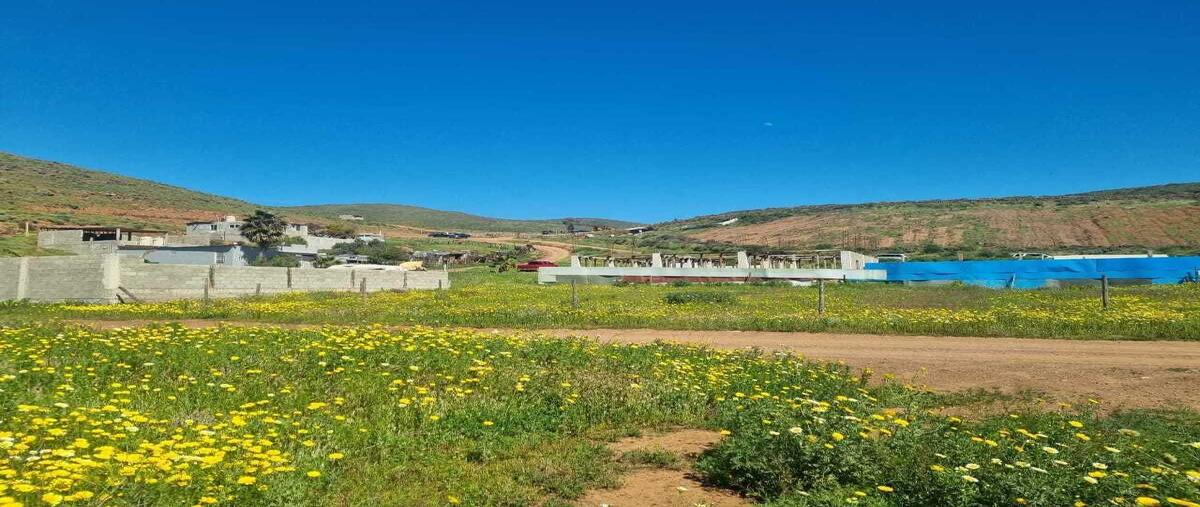 Foto de terreno habitacional en venta en  , villas del campo, ensenada, baja california, 28360727 No. 04