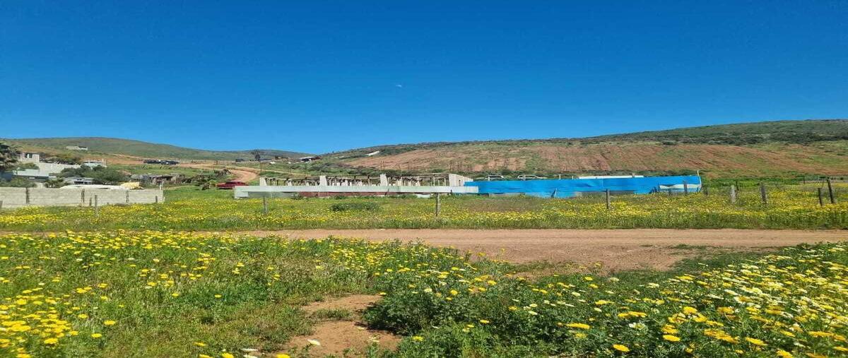 Foto de terreno habitacional en venta en  , villas del campo, ensenada, baja california, 28360727 No. 05