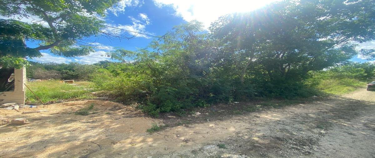 Foto de terreno habitacional en venta en  , villas del oriente, kanasín, yucatán, 25823559 No. 04