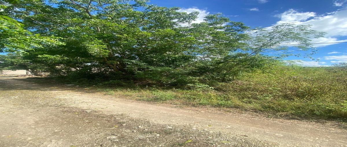 Foto de terreno habitacional en venta en  , villas del oriente, kanasín, yucatán, 25823559 No. 05