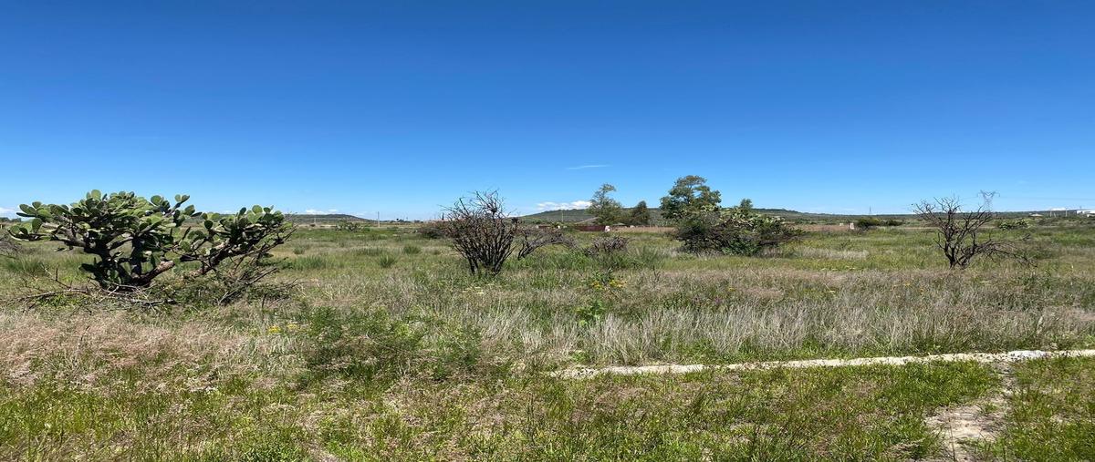 Foto de terreno habitacional en venta en  , villas ecológicas los nardos (los nardos), lagos de moreno, jalisco, 0 No. 02
