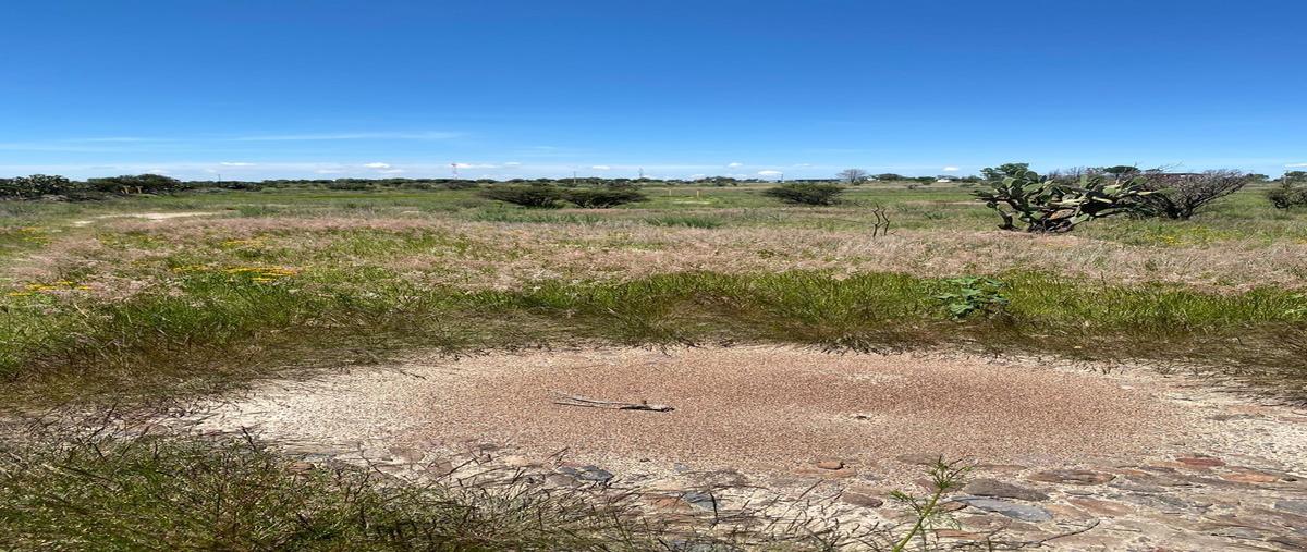 Foto de terreno habitacional en venta en  , villas ecológicas los nardos (los nardos), lagos de moreno, jalisco, 0 No. 04