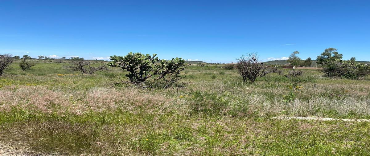 Foto de terreno habitacional en venta en  , villas ecológicas los nardos (los nardos), lagos de moreno, jalisco, 0 No. 05