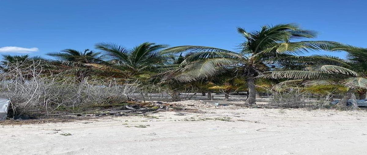 Foto de terreno habitacional en venta en villas il nonos , san diego, dzemul, yucatán, 0 No. 03