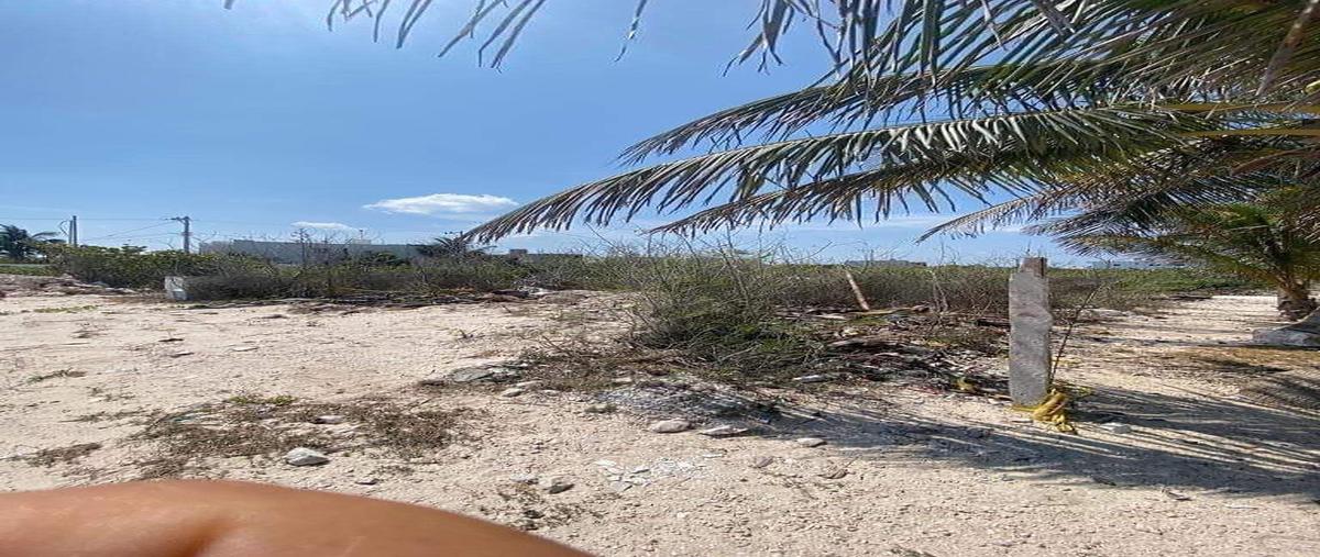 Foto de terreno habitacional en venta en villas il nonos , san diego, dzemul, yucatán, 0 No. 04