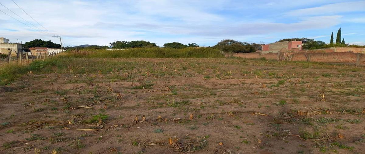 Foto de terreno habitacional en venta en  , villas la loma, zapopan, jalisco, 0 No. 03