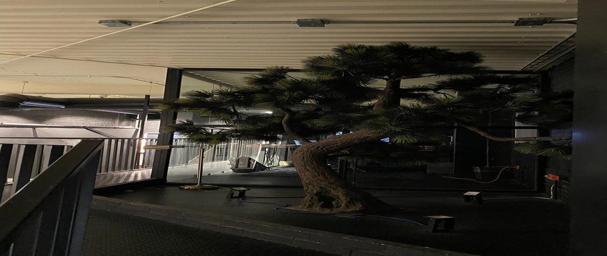 Foto de local en renta en  , villas la rioja, monterrey, nuevo león, 0 No. 15