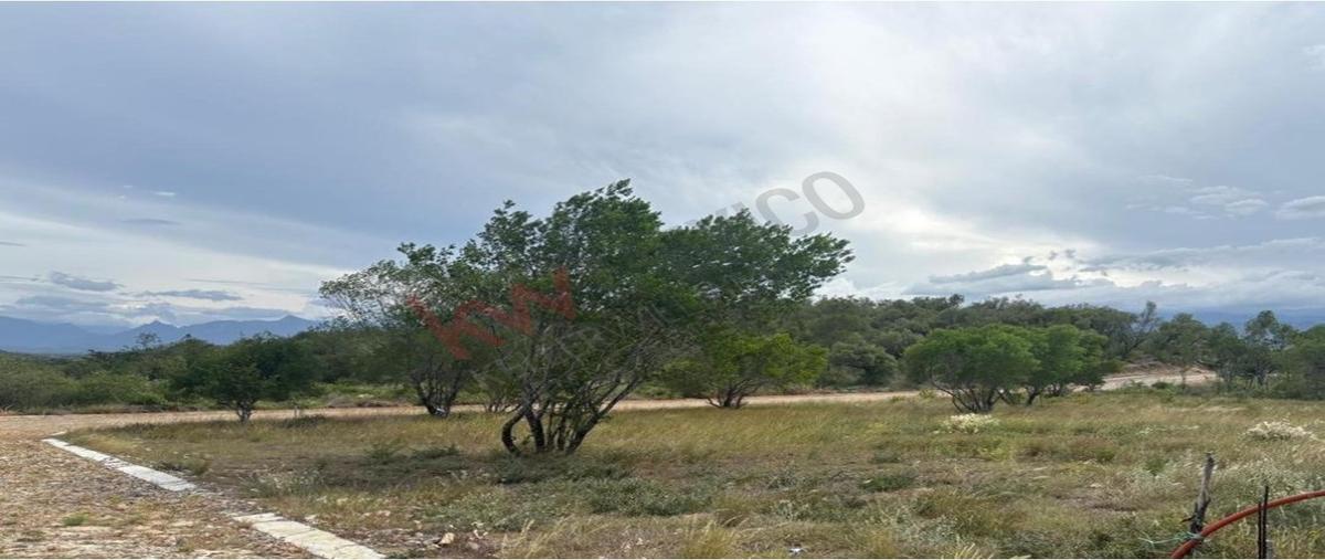 Foto de terreno habitacional en venta en villas las chinas , atongo de abajo, cadereyta jiménez, nuevo león, 0 No. 04