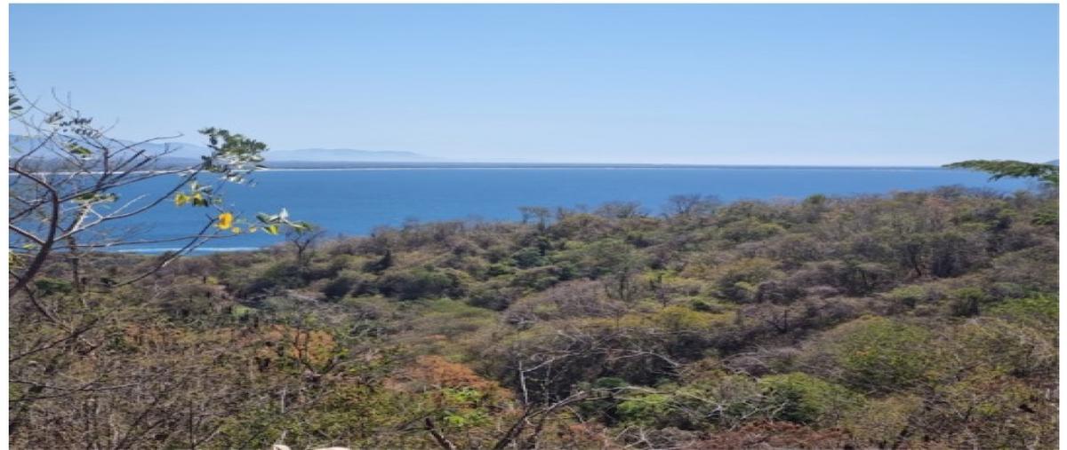 Foto de terreno habitacional en venta en  , villas las garzas, zihuatanejo de azueta, guerrero, 0 No. 03