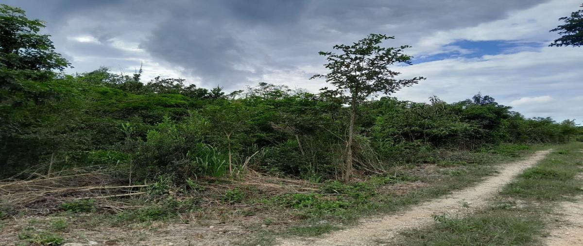 Foto de terreno habitacional en venta en  , villas tulum, tulum, quintana roo, 27634210 No. 03