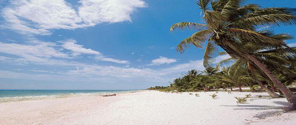 Foto de terreno comercial en venta en  , villas tulum, tulum, quintana roo, 7475771 No. 04