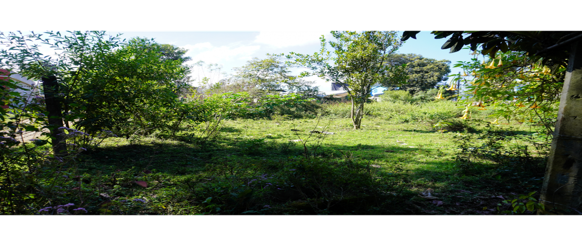 Foto de terreno habitacional en venta en  , vima, huauchinango, puebla, 0 No. 03