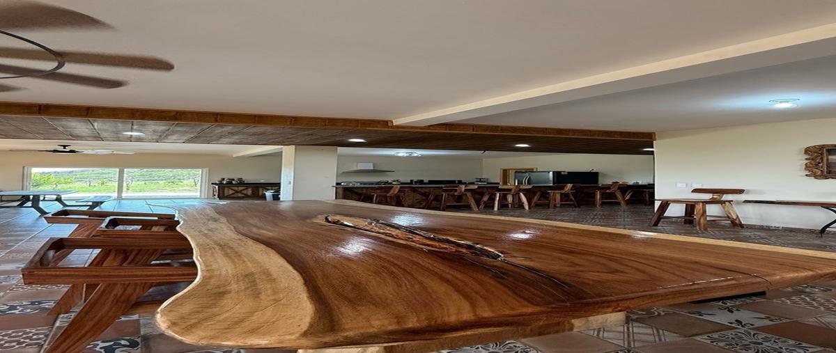 Foto de rancho en venta en viña de frannes , el porvenir (guadalupe), ensenada, baja california, 0 No. 05