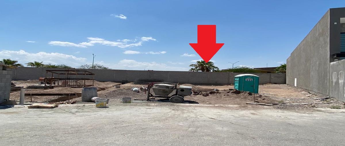 Foto de terreno habitacional en venta en viña de guadalupe lote 14 , los viñedos, torreón, coahuila de zaragoza, 26477798 No. 04