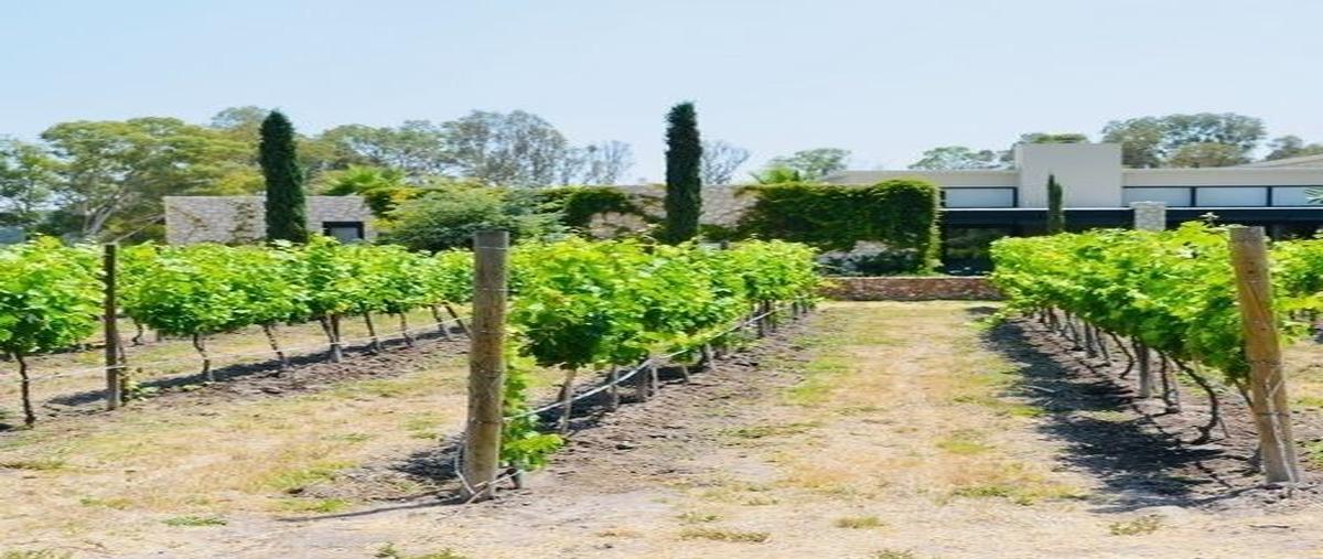 Foto de terreno habitacional en viñedo san francisco , san francisco, san miguel de allende, guanajuato, 25795915 foto 01 Foto de terreno habitacional en venta en viñedo san francisco , san francisco, san miguel de allende, guanajuato, 25795915 No. 01