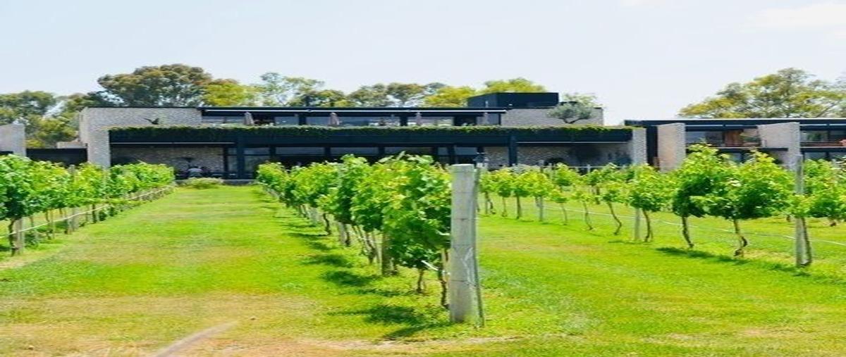 Foto de terreno habitacional en viñedo san francisco , san francisco, san miguel de allende, guanajuato, 25795915 foto 02 Foto de terreno habitacional en venta en viñedo san francisco , san francisco, san miguel de allende, guanajuato, 25795915 No. 02