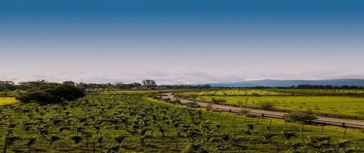 Foto de terreno habitacional en viñedo san francisco , san francisco, san miguel de allende, guanajuato, 25795915 foto 03 Foto de terreno habitacional en venta en viñedo san francisco , san francisco, san miguel de allende, guanajuato, 25795915 No. 03