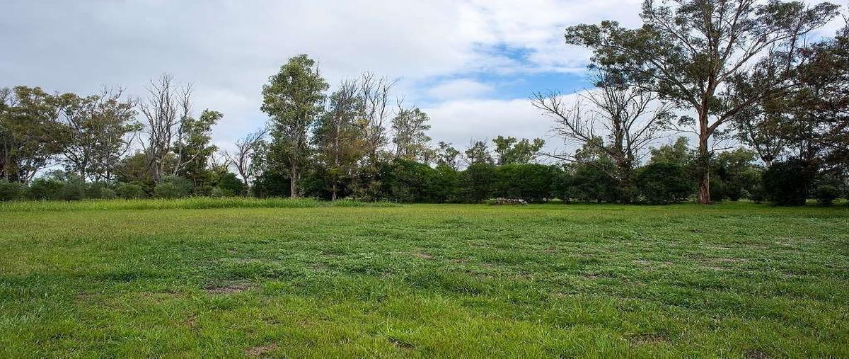 Foto de terreno habitacional en venta en viñedo san lucas , don chepe, san miguel de allende, guanajuato, 27688135 No. 03