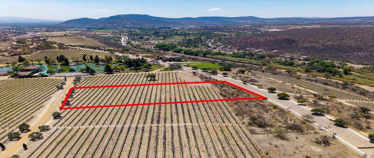 Foto de terreno habitacional en venta en viñedo san miguel m7 lote 7 , san miguel de allende centro, san miguel de allende, guanajuato, 0 No. 03
