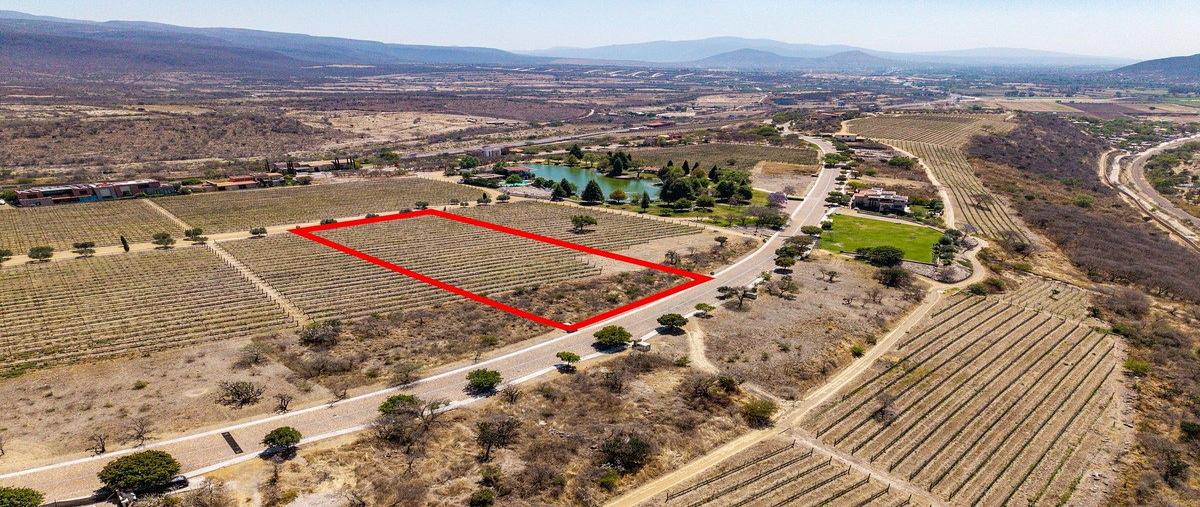 Foto de terreno habitacional en venta en viñedo san miguel m7 lote 7 , san miguel de allende centro, san miguel de allende, guanajuato, 0 No. 05