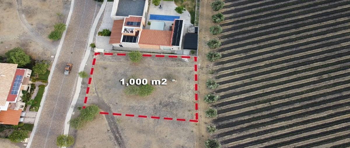 Foto de terreno habitacional en venta en viñedo san miguel , poblado de don diego, san miguel de allende, guanajuato, 29739802 No. 04