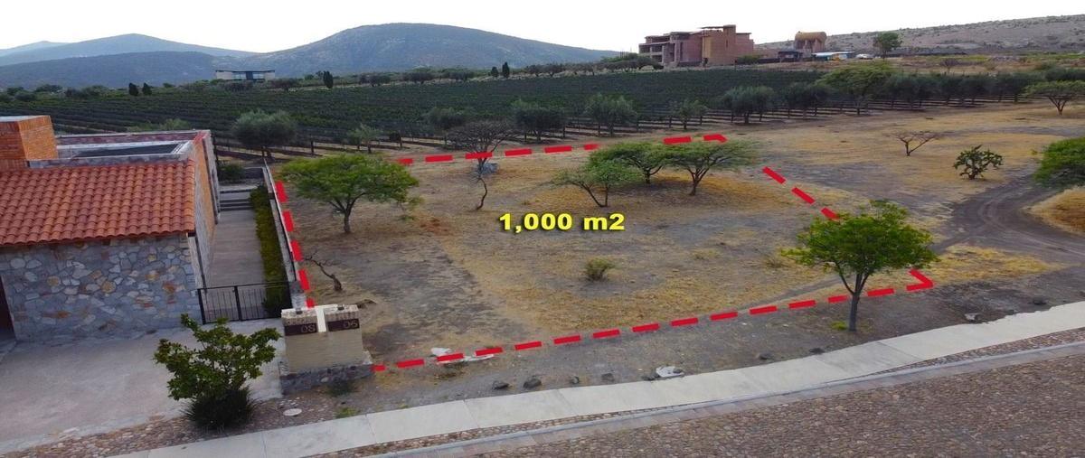 Foto de terreno habitacional en venta en viñedo san miguel , poblado de don diego, san miguel de allende, guanajuato, 29739802 No. 05