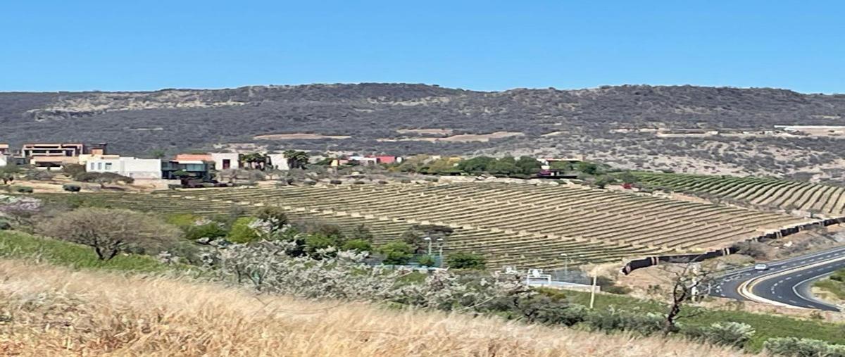 Foto de terreno habitacional en venta en  , viñedos de san miguel, comonfort, guanajuato, 29447074 No. 05