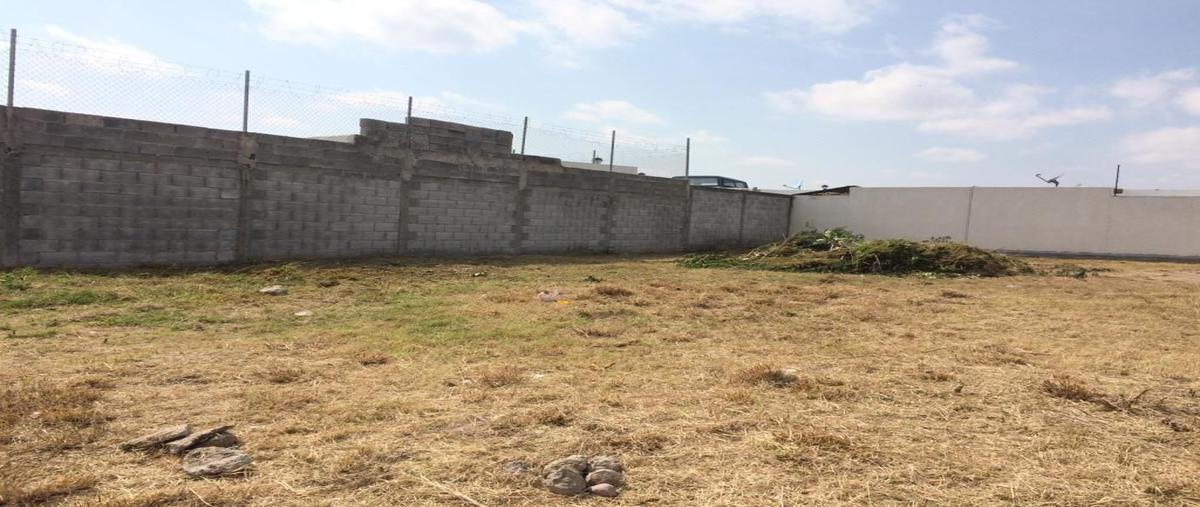 Foto de terreno comercial en venta en  , viñedos, querétaro, querétaro, 26037393 No. 05