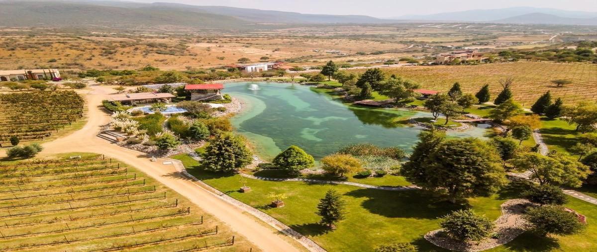 Foto de terreno habitacional en venta en viñedos san miguel , rinconcillo (rinconcillo de los remedios), comonfort, guanajuato, 30199498 No. 05