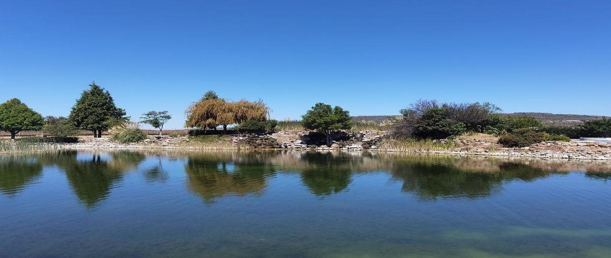 Foto de terreno habitacional en venta en viñedos san miguelcto. malbec oriente , calderón, san miguel de allende, guanajuato, 29799252 No. 03