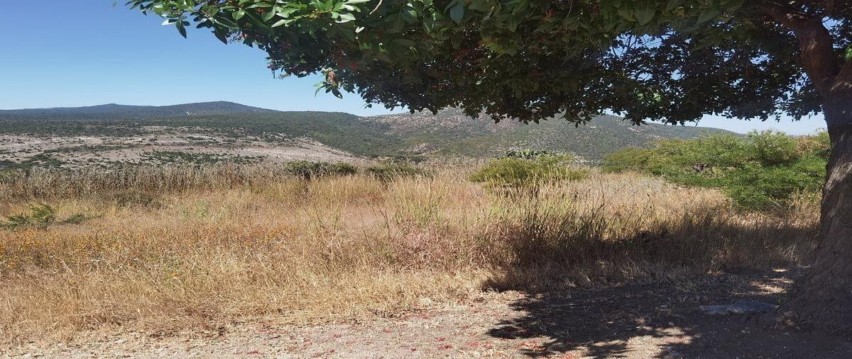 Foto de terreno habitacional en venta en viñedos san miguelcto. malbec oriente , calderón, san miguel de allende, guanajuato, 29799252 No. 04