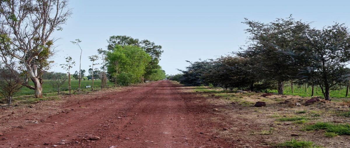 Foto de casa en venta en viñedos santa catalina , san lucas, san miguel de allende, guanajuato, 28726604 No. 05