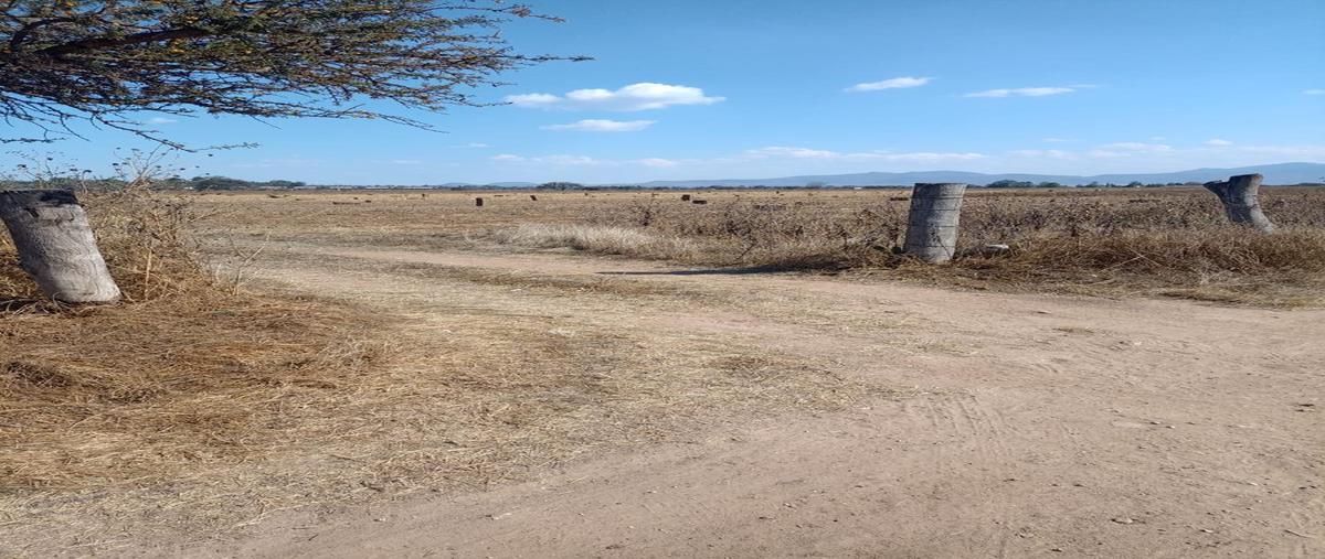 Foto de terreno habitacional en venta en  , viñedos, tequisquiapan, querétaro, 29362774 No. 05