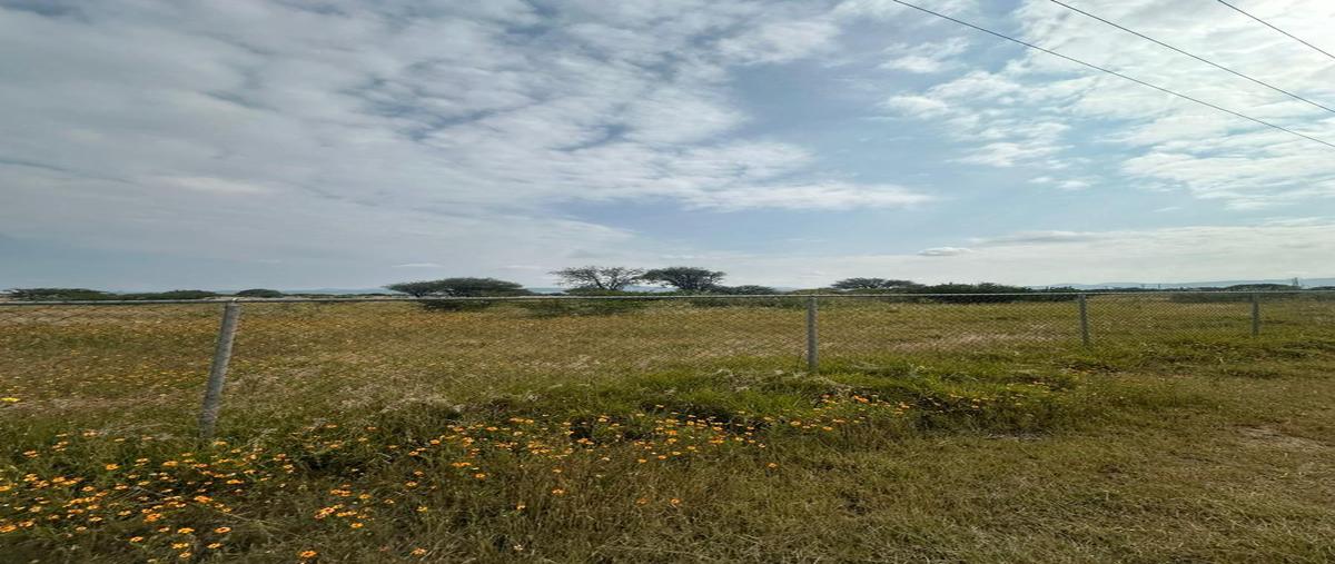 Foto de terreno habitacional en venta en  , viñedos, tequisquiapan, querétaro, 30415533 No. 04