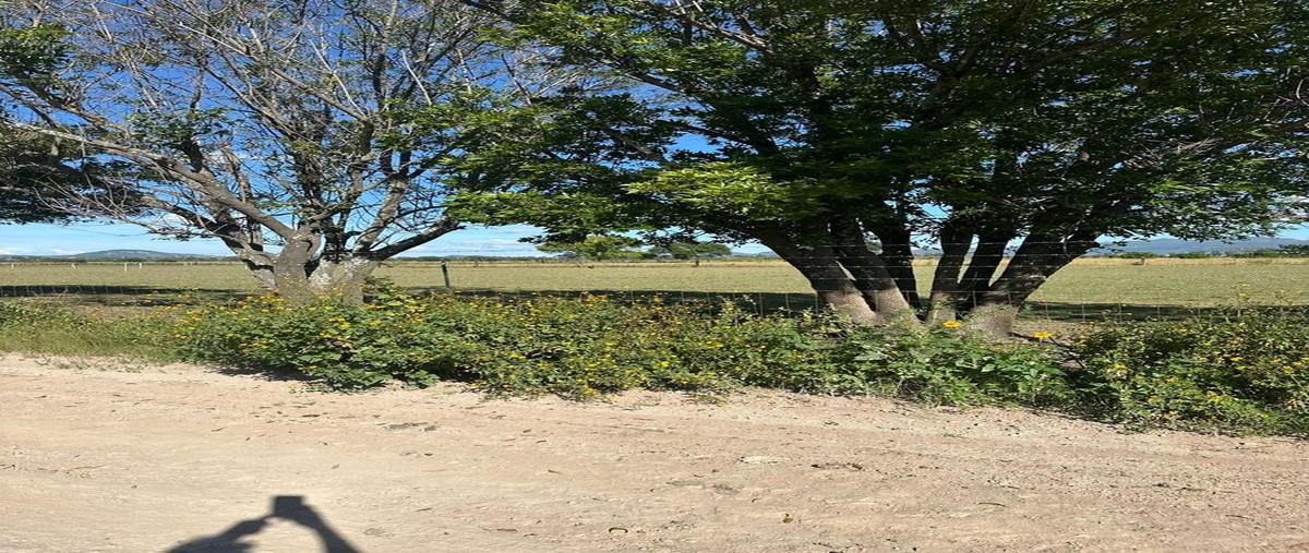 Foto de terreno habitacional en venta en  , viñedos, tequisquiapan, querétaro, 0 No. 04