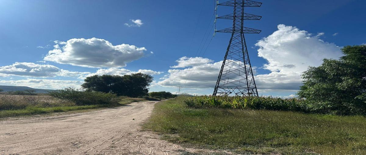 Foto de terreno habitacional en venta en  , viñedos, tequisquiapan, querétaro, 0 No. 05