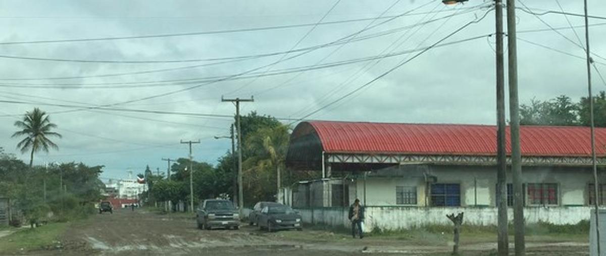 Foto de terreno habitacional en venta en violeta , anáhuac, pueblo viejo, veracruz de ignacio de la llave, 3584053 No. 05
