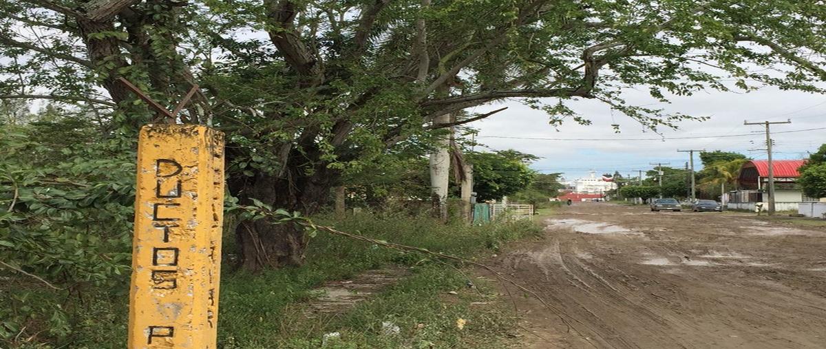 Foto de terreno habitacional en venta en violeta , anáhuac, pueblo viejo, veracruz de ignacio de la llave, 3584053 No. 04