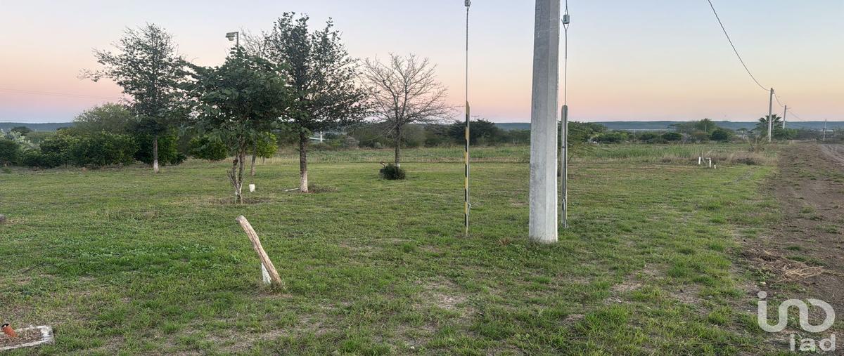 Foto de terreno habitacional en venta en virgen de loreto , valle hidalgo (la cotorra), montemorelos, nuevo león, 0 No. 03