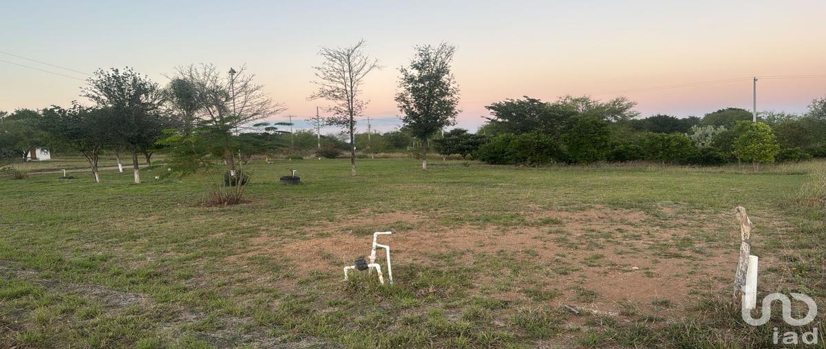 Foto de terreno habitacional en venta en virgen de loreto , valle hidalgo (la cotorra), montemorelos, nuevo león, 0 No. 04